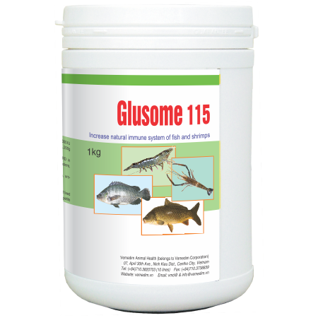Glusome 115