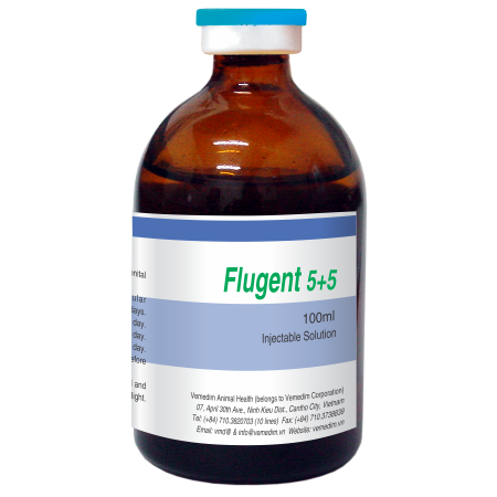 Flugent 5+5