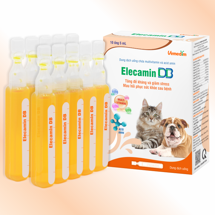 Elecamin db ống