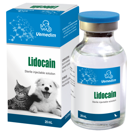 LIDOCAIN