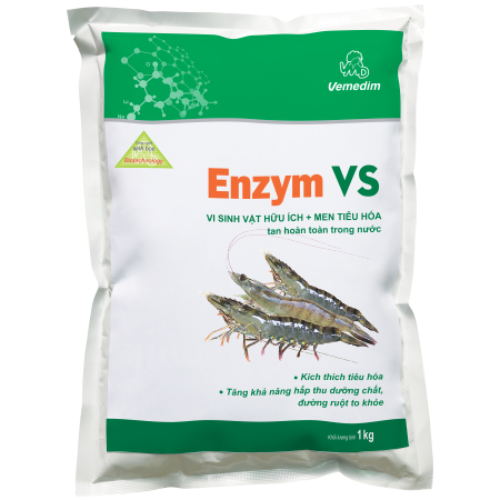 Enzym VS