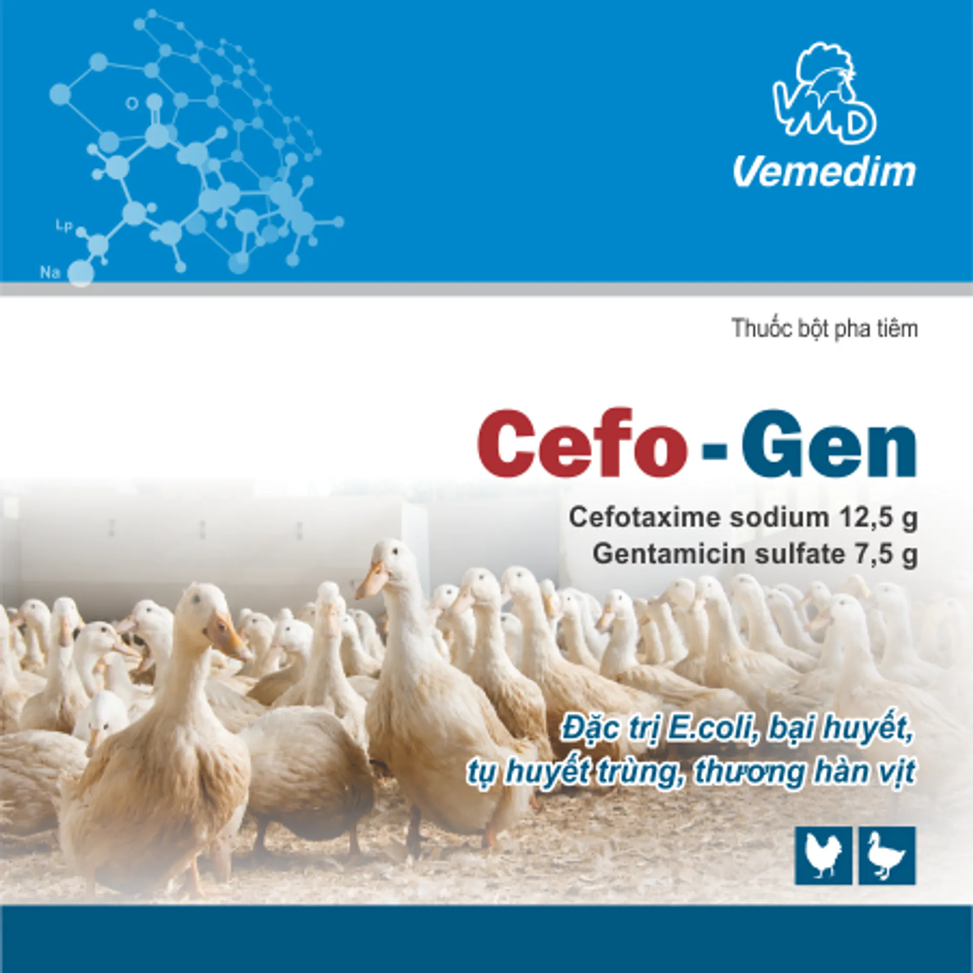 Cefo Gen
