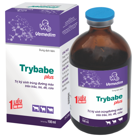 Trybabe plus