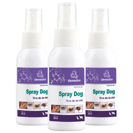 Spray Dog