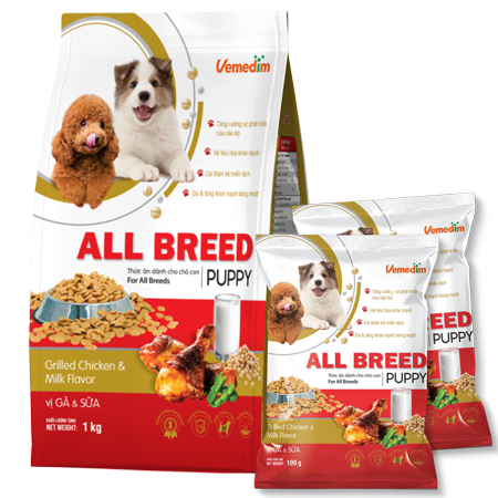 All Breed Puppy (Dog)