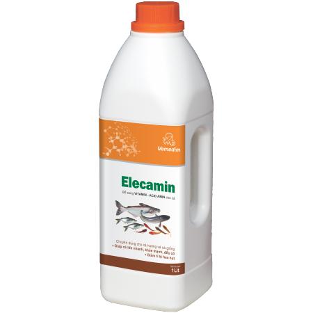 Elecamin (cá)