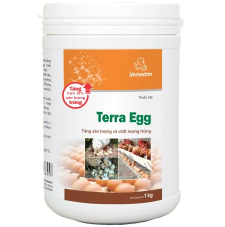 Terra Egg