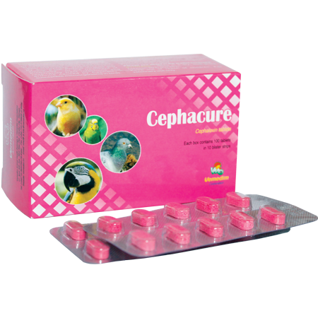 Cephacure
