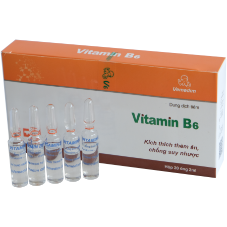 Hướng Dẫn Sử Dụng Vitamin B6 Dạng Ống