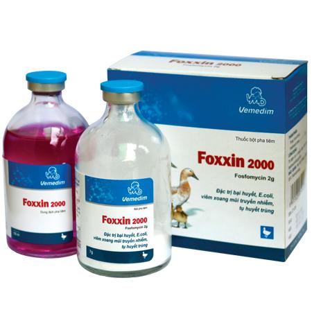 Foxxin 2000