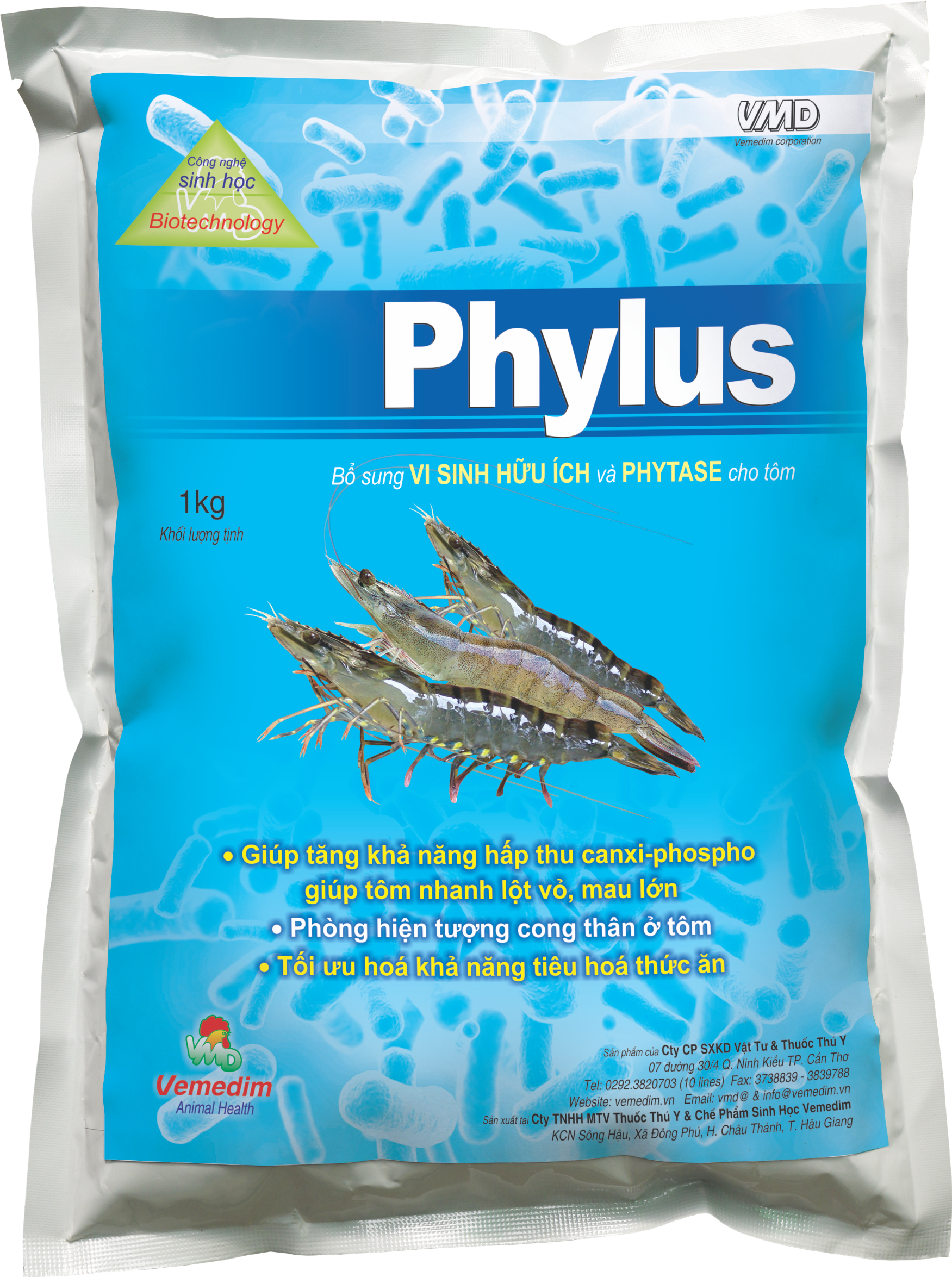 Phylus