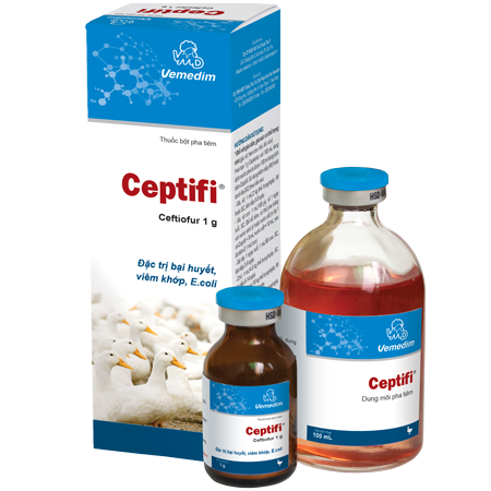 Ceptifi (cặp)