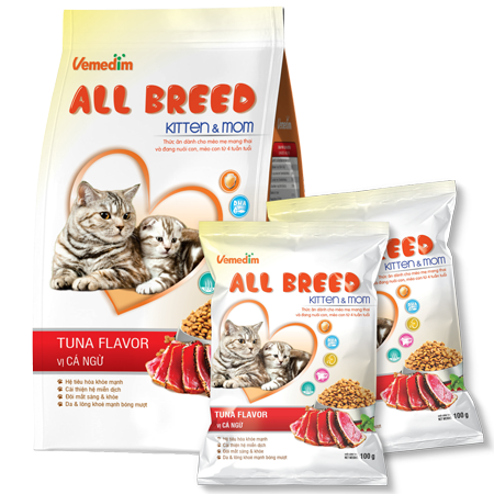 ALL BREED KITTEN & MOM