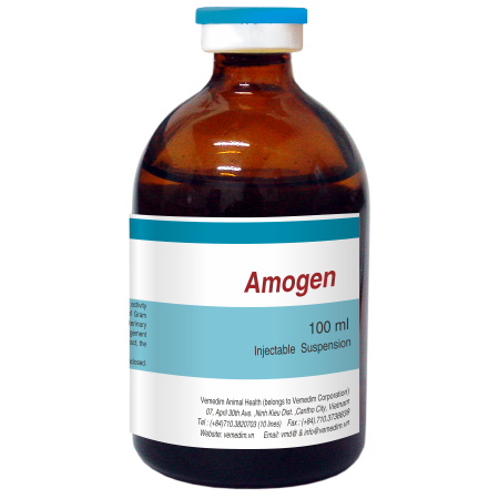 Amogen 