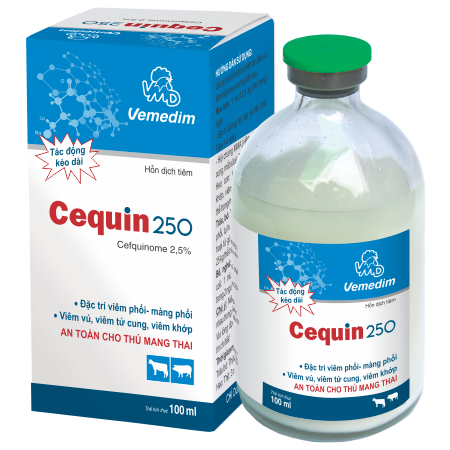Cequin 250