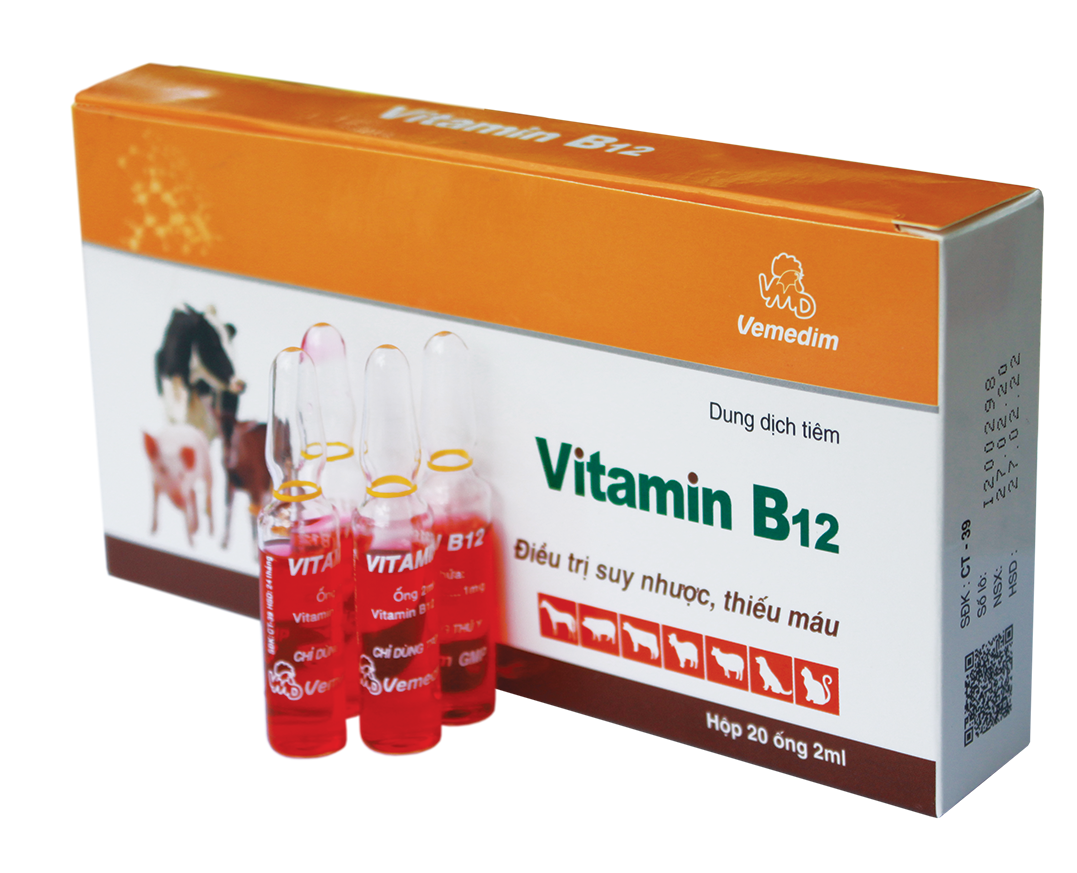 Vitamin B12