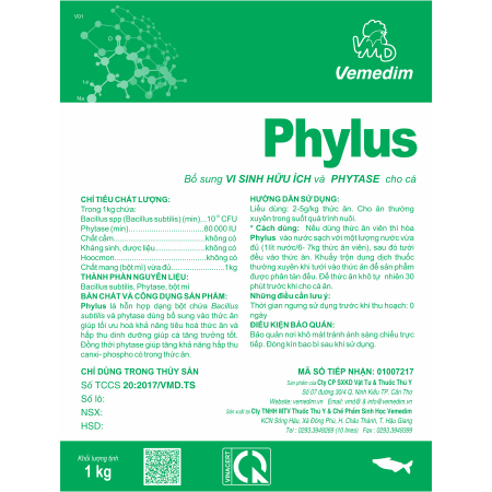 Phylus