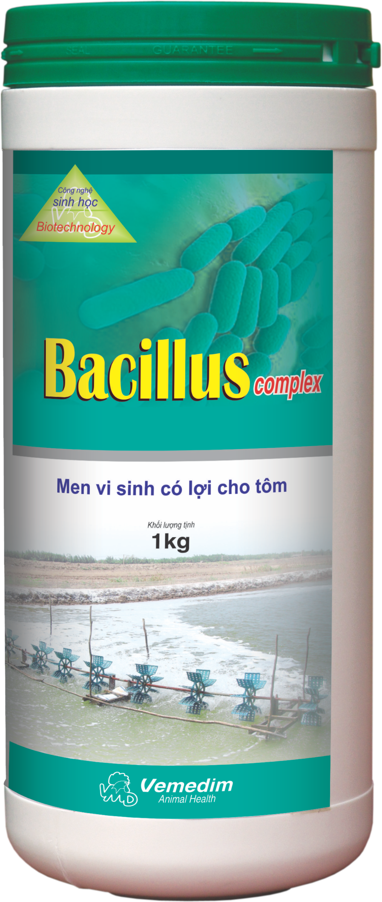 Bacillus complex
