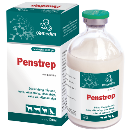 Penstrep (tiêm)
