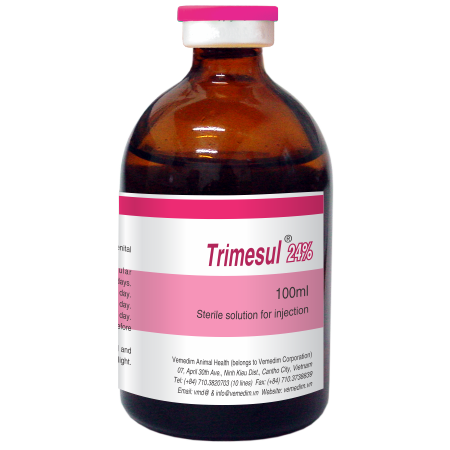 Trimesul 24%
