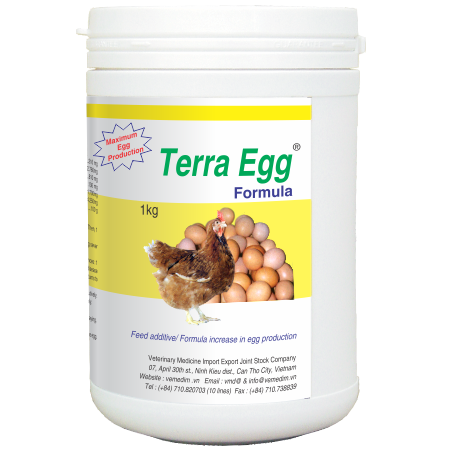 Terra Egg