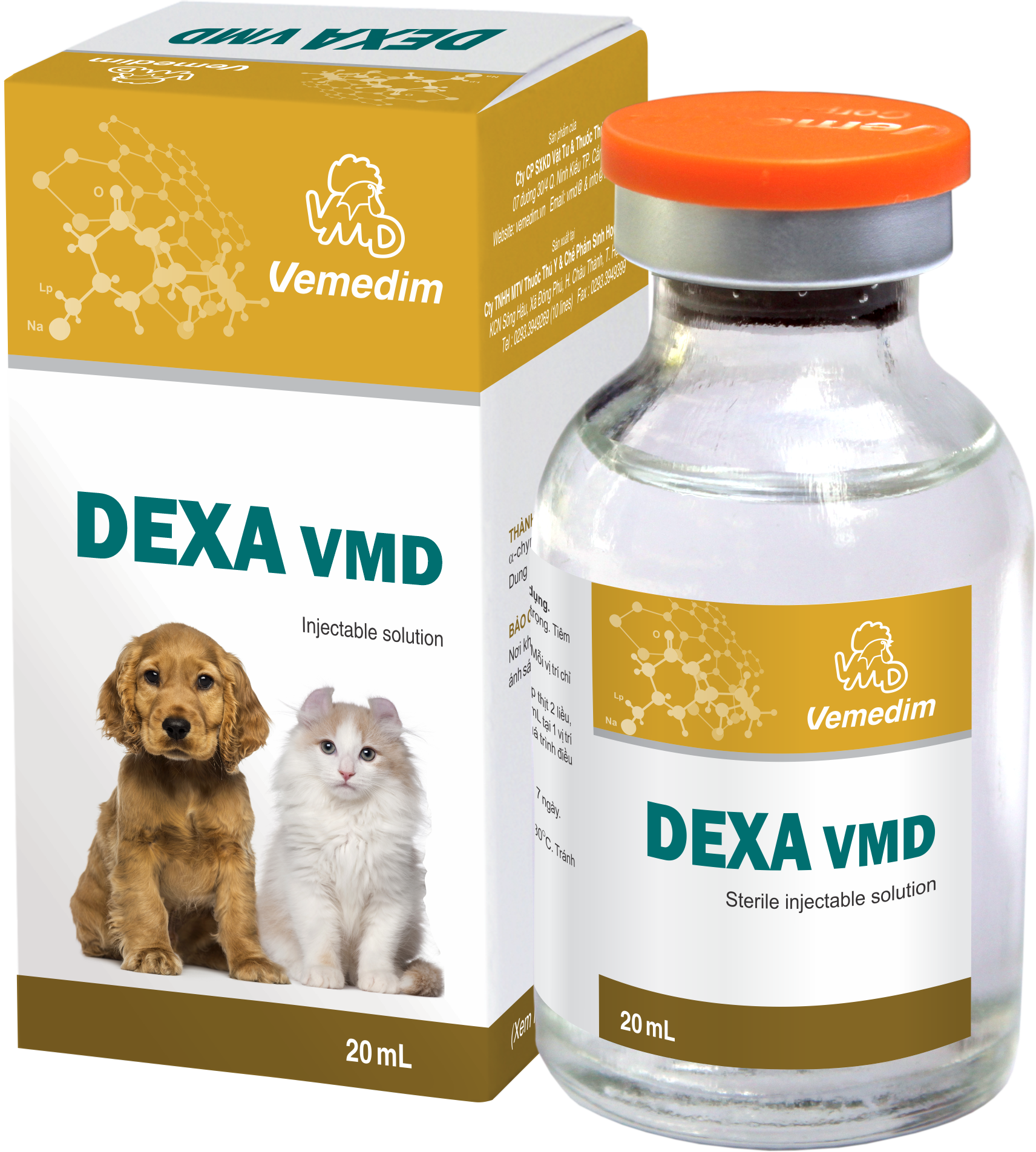 DEXA VMD