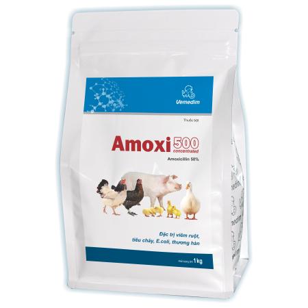 Amoxi 500 Concentrated (GSGC)