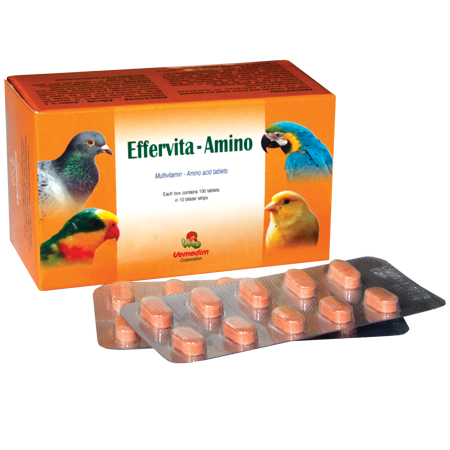 Effervita Amino