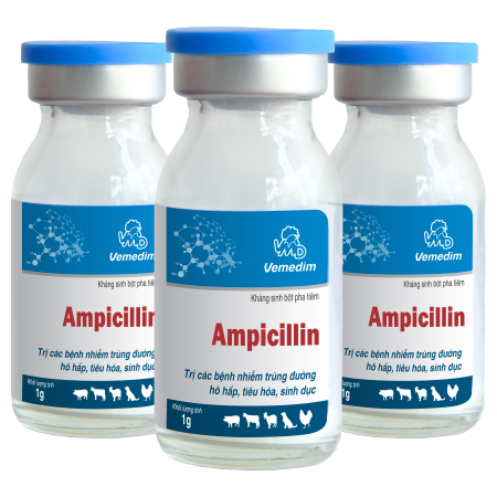 Ampicillin