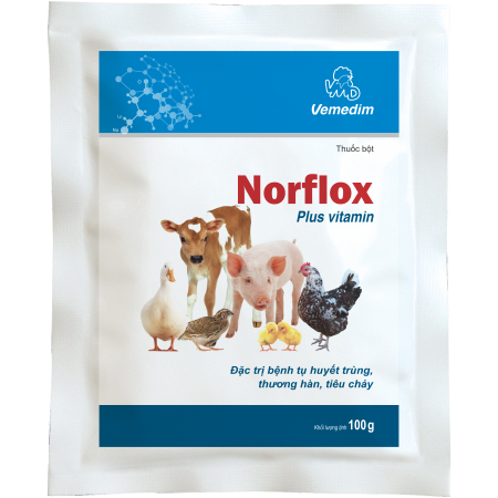 Norflox Plus Vitamin