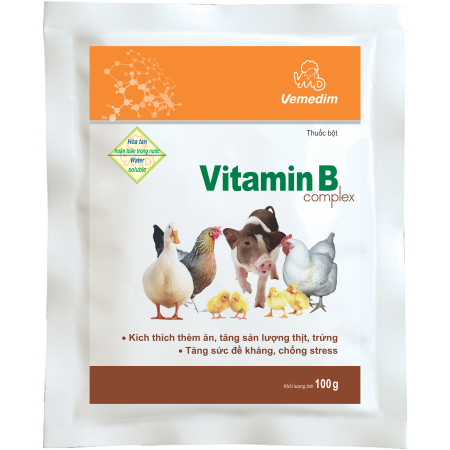 Vitamin B Complex