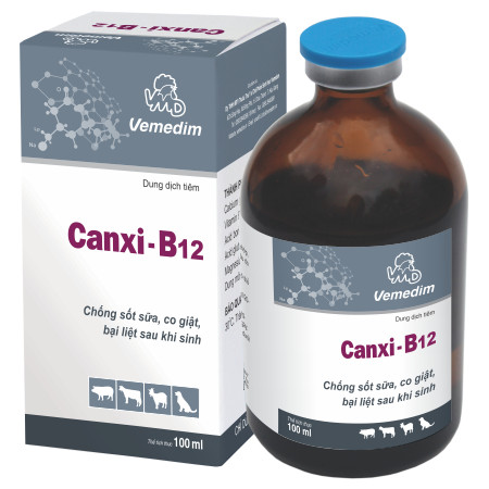 Z - Canxi B12