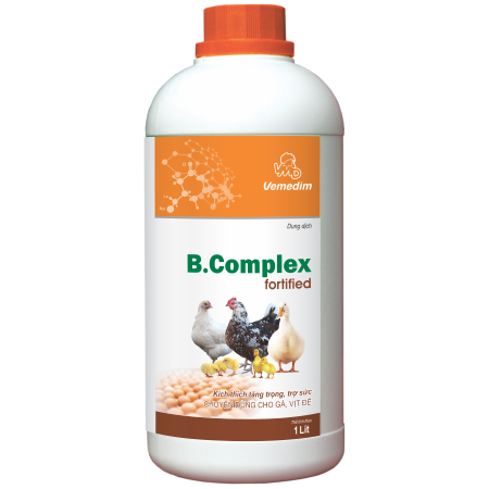 B Complex Fortified  (uống)