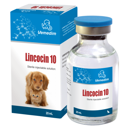 Licocin 10
