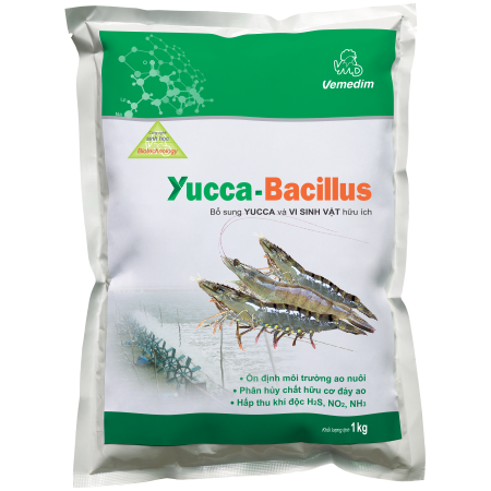 Yucca Bacillus
