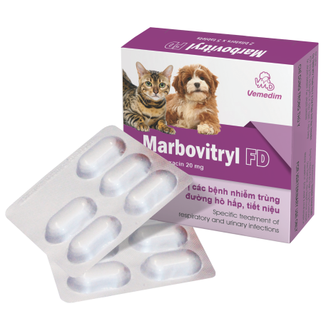  Marbovitryl FD