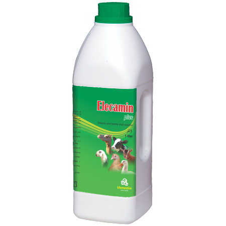 Elecamin Plus