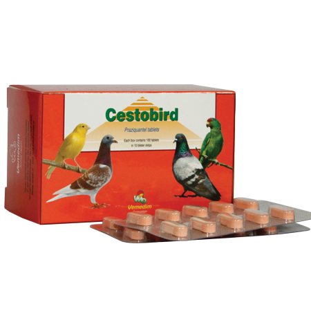Cestobird