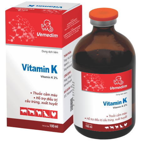 4. Cách bổ sung Vitamin K