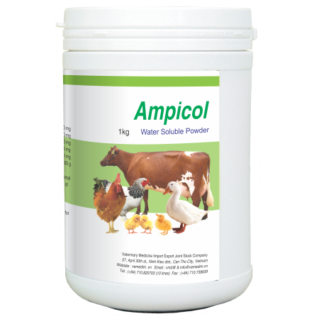 Ampicol 