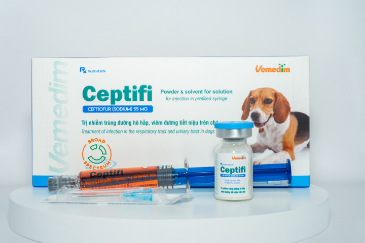 Ceptifi for dogs