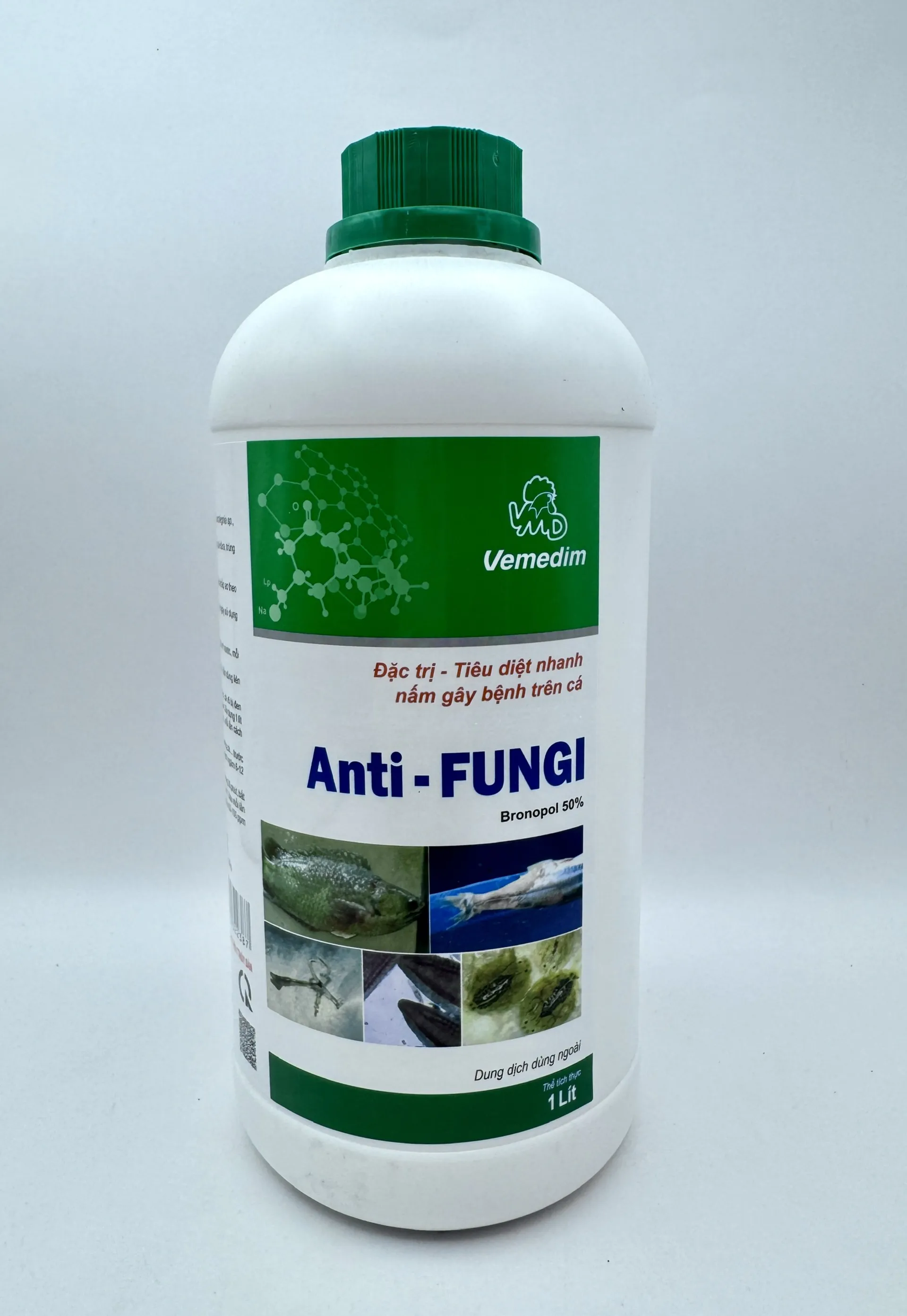 Anti Fungi (cá)