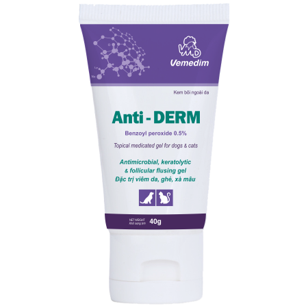 Anti Derm
