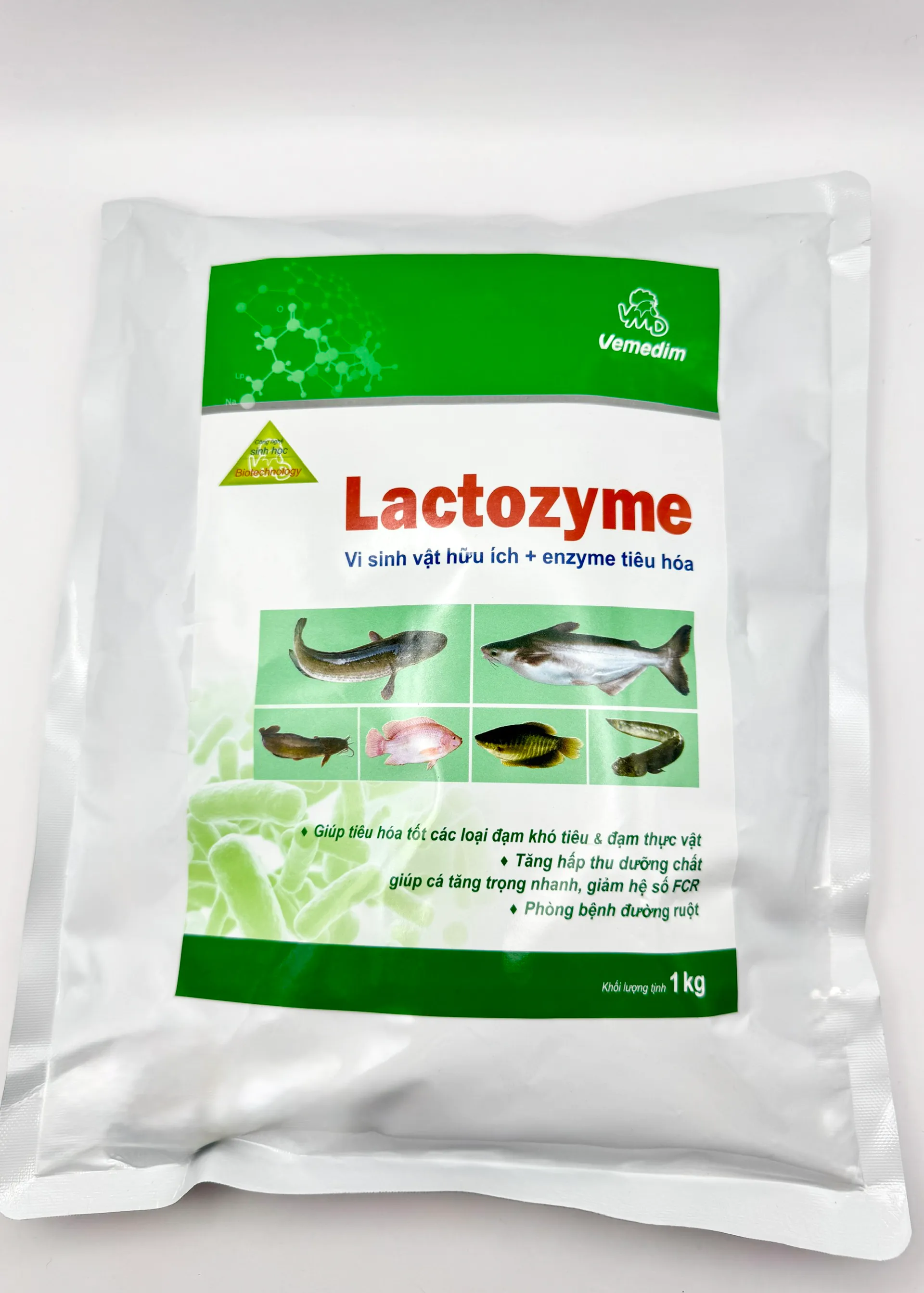 Lactozyme (cá)