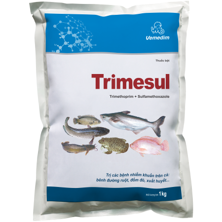 Trimesul