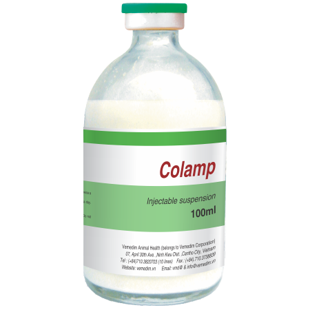 Colamp