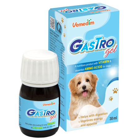 Gastro Gel