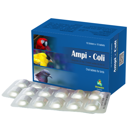 Ampi - Coli 