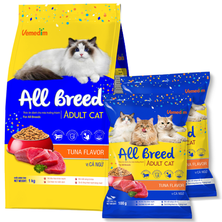 ALL BREED ADULT CAT