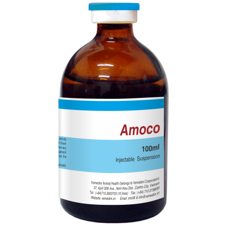 Amoco
